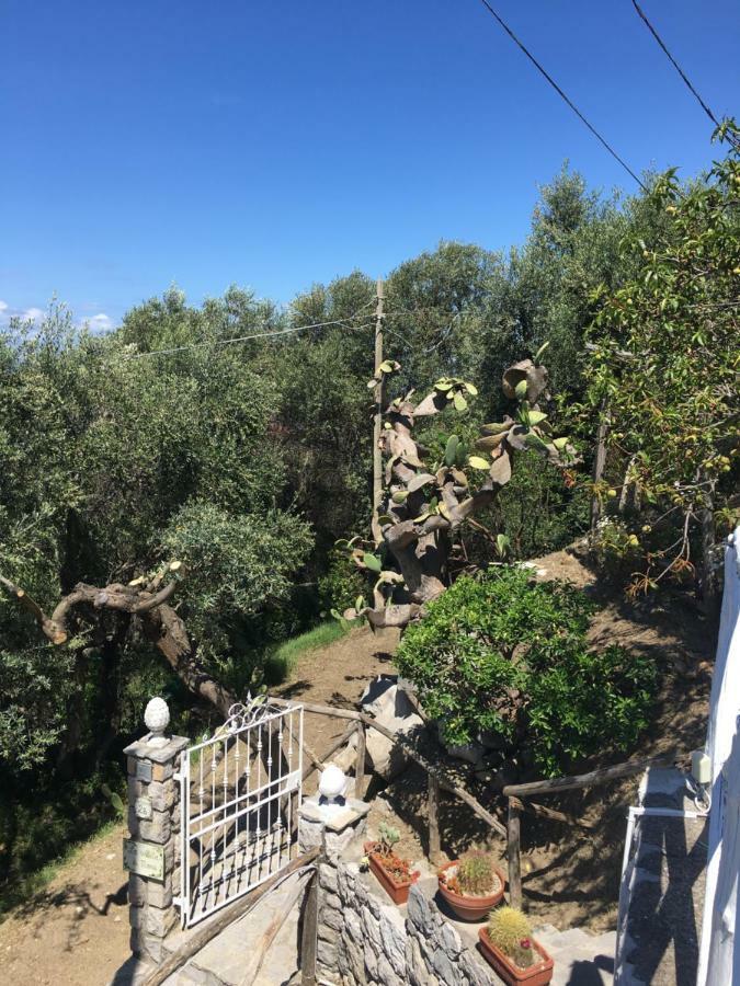 Villa Manu Massa Lubrense Luaran gambar